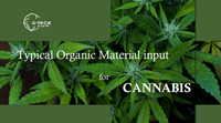 CANABIS_副本