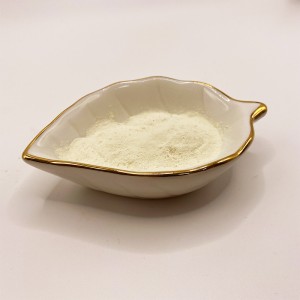 Aminosäurechelat Zink