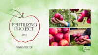 Fertilización de manzanas