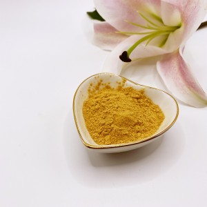 Chitosan-Oligosaccharid