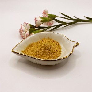 Chitosan-Oligosaccharid