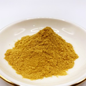 Chitosan-Oligosaccharid