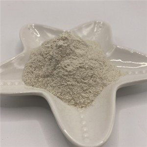 Chitosan Polymer (5)