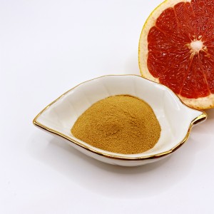 Fischprotein