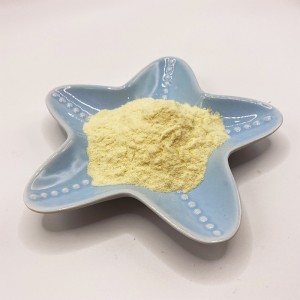 Sojaprotein 95