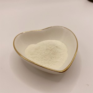Sojaprotein 95
