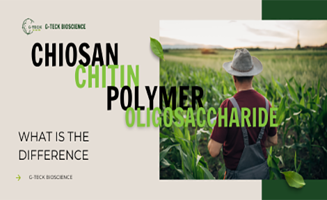 ភាពខុសគ្នារវាង Chitin, Chitosan Polymer, COS