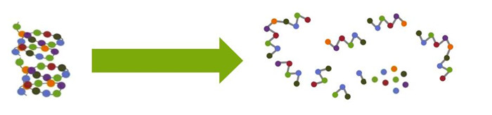 Organic Nitrogen