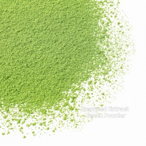 green seaweed