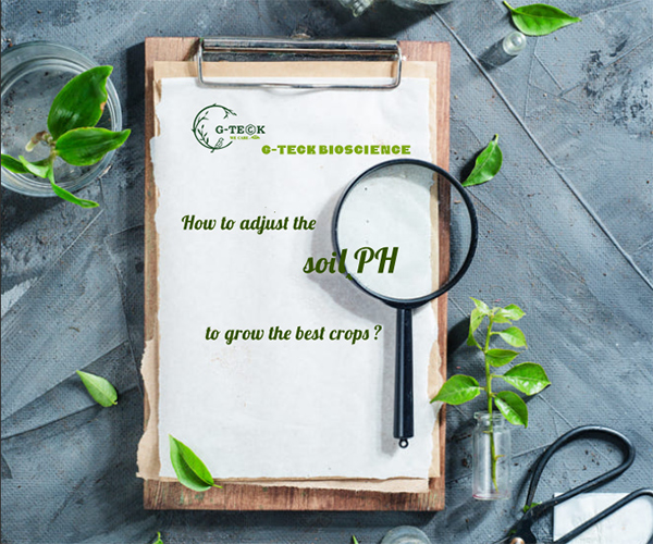 ការលៃតម្រូវតម្លៃ PH - ការលៃតម្រូវ pH ដីសរីរាង្គ