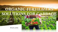 Fertilization Program1
