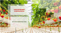 Fertilization Program12